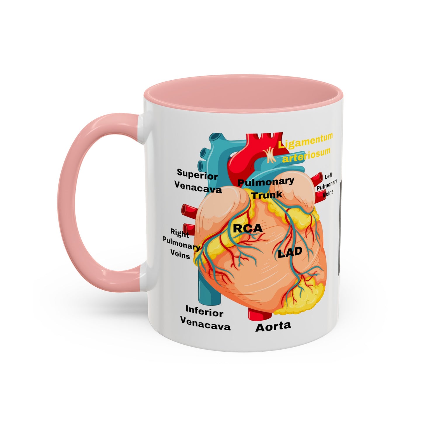 Cardiovascular Design Coffee Mug (11oz)