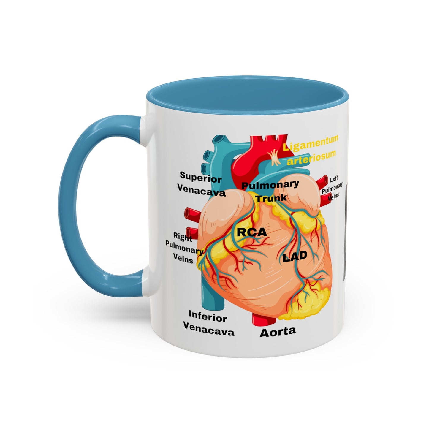 Cardiovascular Design Coffee Mug (11oz)